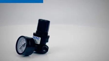 Xcpc Pneumatic Manufacturer China Supplier Xn Series Norgren Type R07