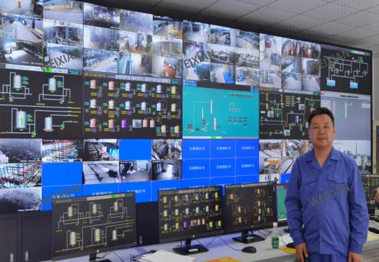 Sulphonation Plant PLC/DCS Control System 