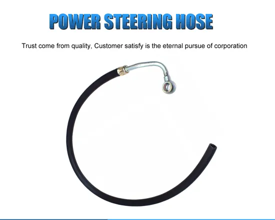 1c0422 893 Ab 1c0422893ab Auto Spare Parts High Pressure Power Steering Rubber Hose for VW 